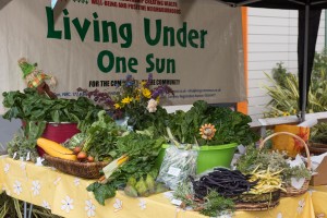 Living Under One Sun at Hale Village Festival